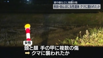 田んぼに倒れた女性…死亡確認　クマに襲われたか　秋田・鹿角市
