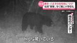 「「何かの間違いかと…」東京・八王子市の住宅街にクマ出没　すぐそばに小学校も」の画像1