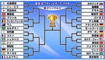 【卓球男子】ドロー決定　世界3位の松島輝空が第1シード　張本智和ら日本勢は4選手出場　世界1位の王楚欽＆2位のF.ルブランがケガで欠場〈WTTチャンピオンズマカオ〉