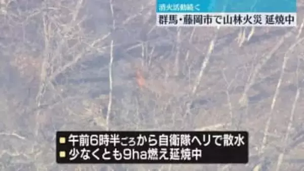 群馬・藤岡市で山林火災、延焼続く　鎮火のメドたたず