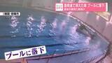 「急発進で消えた車…プールに落下　直前の衝突に動揺か　韓国」の画像1
