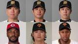 「【プロ野球】前半戦を終え…セ・リーグの投手タイトルの行方は？　阪神の先発陣が圧巻の成績」の画像1