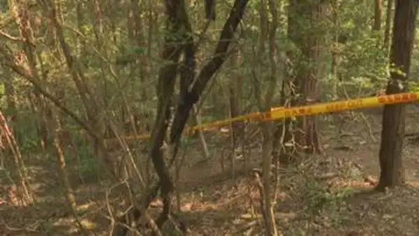 【速報】飯能市の山中で91歳女性の遺体発見 殺害や遺体の遺棄をほのめかす男から事情聴く 埼玉県警
