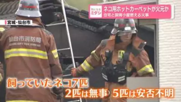 ネコ用ホットカーペットが火元か　住宅と飼育小屋が燃える火事　仙台市