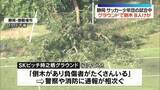 「サッカー少年団の試合中に複数の木が根元から倒れ、試合観戦の保護者ら8人ケガ　うち女性3人重傷　静岡・御殿場市」の画像1