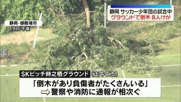 サッカー少年団の試合中に倒木　試合観戦の保護者ら8人ケガ…うち女性3人重傷　静岡・御殿場市