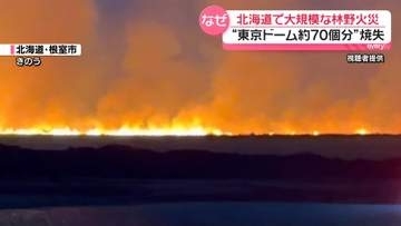 大規模林野火災で東京ドーム約70個分の範囲焼失　担当者“当時は火災起きやすい状態”　北海道根室市