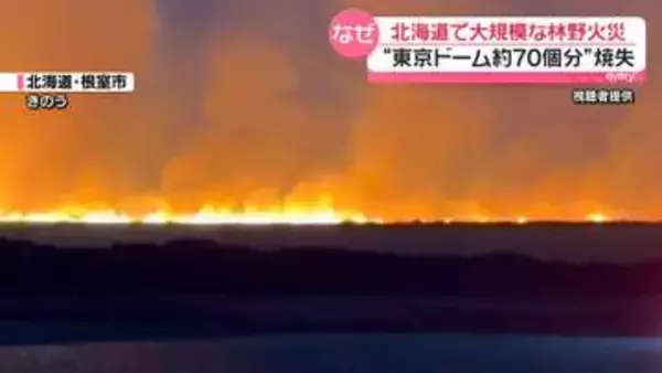 大規模林野火災で東京ドーム約70個分の範囲焼失　担当者“当時は火災起きやすい状態”　北海道根室市