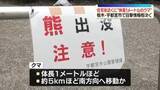 「“体長1メートル”クマ、住宅街近くで目撃情報相次ぐ　栃木・宇都宮市」の画像1