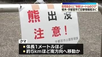 “体長1メートル”クマ、住宅街近くで目撃情報相次ぐ　栃木・宇都宮市