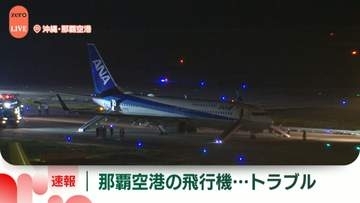 【速報】全日空機、エンジントラブルで那覇空港に急きょ引き返し着陸、けが人なし　那覇発・佐賀行き