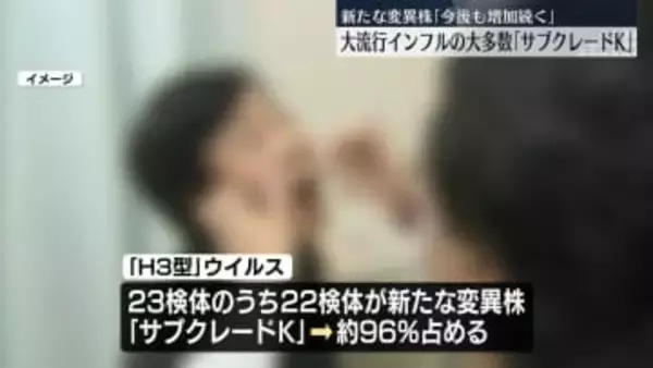 大流行のインフルエンザ、新たな変異株「サブクレードK」が大多数