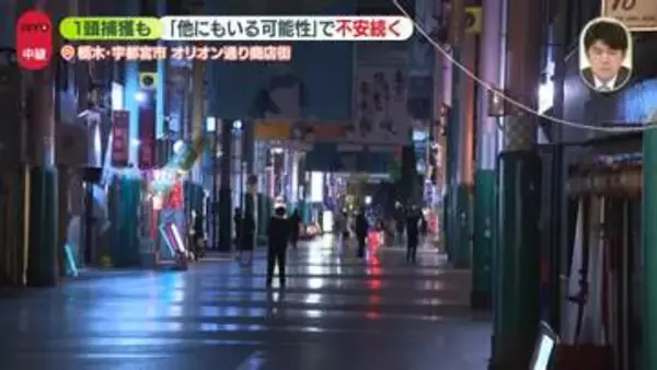 クマ1頭捕獲も「他にもいる可能性」で不安続く　宇都宮市の商店街から【中継】