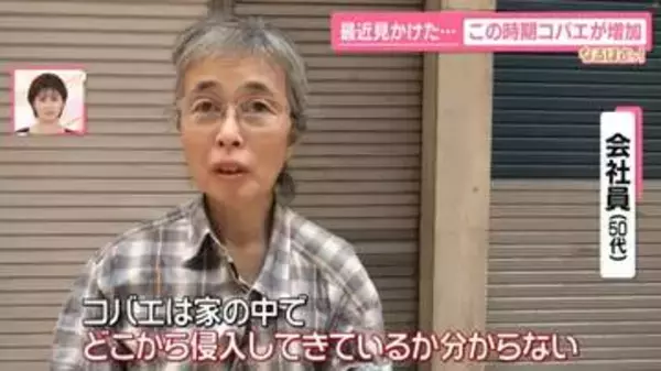 あなたの「コバエ事情」は？──この時期“大量発生”なぜ　ペットボトル製「コバエ取り器」の作り方【なるほどッ！】
