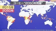 手軽に飲めなくなる？「コーヒー2050年問題」　豆を使わないコーヒーの登場や“おいしく強い”豆の品種研究も【なるほどッ！】
