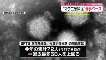 マダニ媒介の感染症「SFTS」感染者数72人に　最多ペース