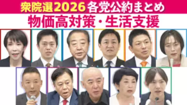 【（2）物価高対策・生活支援】衆院選 主要各党の公約・政策まとめ