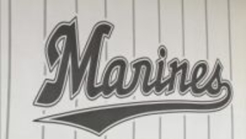 【ロッテ】ドミニカ共和国出身の20歳左腕と育成契約「常に100％の全力を尽くし、チームの勝利に貢献できるよう努力」背番号は139