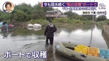 「日常じゃない」千葉・台風被害から約2週間……今も冠水続く“梨の収穫”ボートで　苦悩する住民の生活【追跡取材 news LOG】