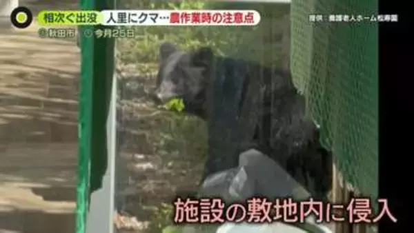 クマ対策どうすれば…目撃“急増”　鈴木農水相は農家に「注意と対策」呼びかけ
