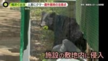 クマ対策どうすれば…目撃“急増”　鈴木農水相は農家に「注意と対策」呼びかけ