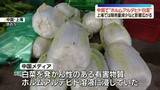 「中国で“ホルムアルデヒド漬け白菜”出荷　白菜の販売を一時的に取りやめる店も…影響広がる」の画像1