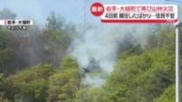 「安心したところで」岩手・大槌町で再び山林火災　4日前「鎮圧」したばかり…住民から不安の声