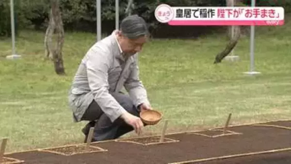 天皇陛下が「お手まき」　皇居で稲作始まる