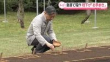天皇陛下が「お手まき」　皇居で稲作始まる