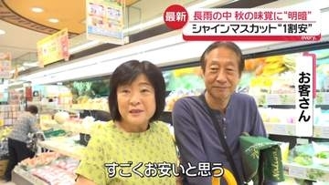 長雨の中 秋の味覚に“明暗” シャインマスカット“1割安” マツタケ“豊作期待”、一方で栗は地域差大きく困惑も