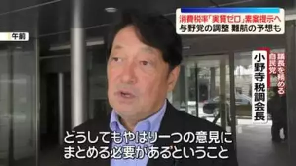 消費税“実質ゼロ”素案、与野党の「社会保障国民会議」できょう示される　調整難航の予想も