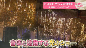 きらめく街！　クリスマスの準備進む　切り倒された木はどこへ？【#世界のミダシ】