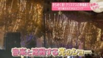 きらめく街！　クリスマスの準備進む　切り倒された木はどこへ？【#世界のミダシ】