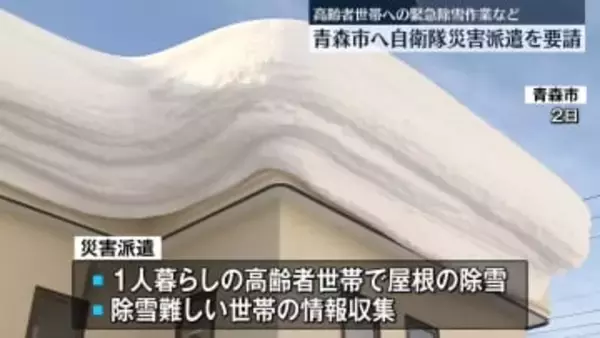 記録的な大雪　青森市への自衛隊災害派遣を要請　1人暮らし高齢者世帯の緊急除雪作業など