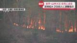 「岩手で山林火災　2か所で同時発生　200ヘクタール以上延焼…なぜ被害拡大？」の画像1