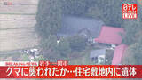 「クマに襲われたか…民家の敷地内に遺体　岩手・一関市」の画像1