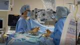 「iPS細胞使った脊髄損傷治療の臨床研究、2～4年間追跡で安全性支持～慶大チームが発表」の画像1