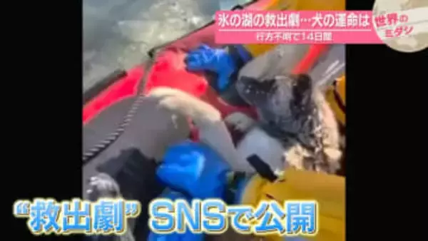 行方不明で14日間　氷の湖の救出劇…犬の運命は　アメリカ【 #世界のミダシ 】