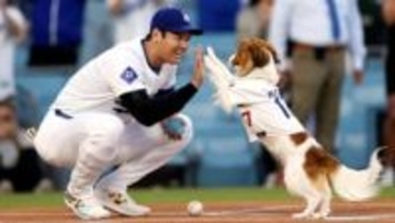 大谷翔平が語る「デコピンが特別である理由」が詰め込まれた絵本が2026年2月に発売決定「より多くの犬が愛する家庭を見つけることを望んでいます」
