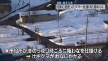 民家に居座ったクマ…けさ捕獲　仕掛けた箱わなにかかる　福島・喜多方市