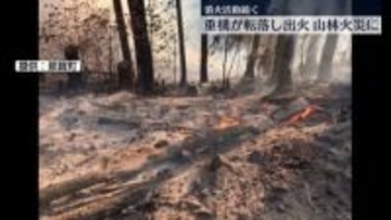 重機が林道から転落、出火　山林に燃え移る　徳島・那賀町