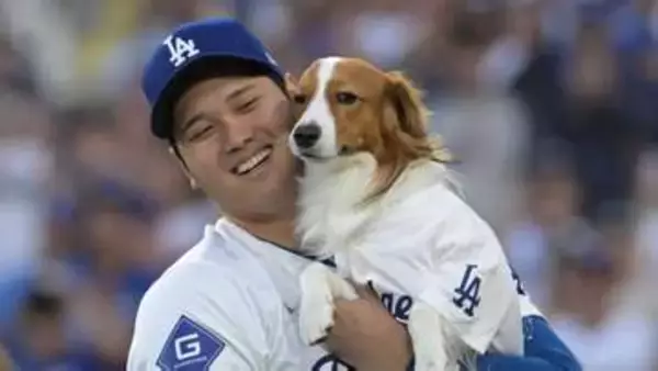 大谷翔平が愛犬デコピンの近影を掲載　インスタグラムに登場するのはWBC東京プール終了時以来　こちらをジッと見つめる