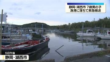 漁港に落ちて…7歳男児を救急搬送　静岡・湖西市