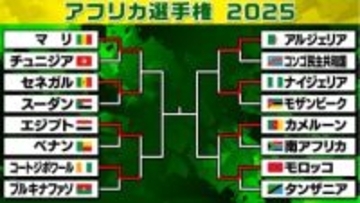 【サッカー/アフリカ選手権】ベスト8出そろう　アルジェリアが延長後半弾で8強入り　コートジボワールは3発で圧倒