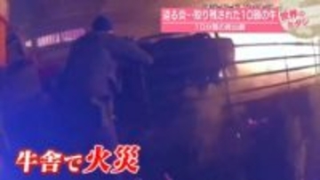 迫る炎…取り残された10頭の牛　10分間の救出劇　アメリカ・ニューヨーク州【 #世界のミダシ 】