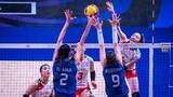 「【バレー女子NL】日本が準々決勝で散る　大一番で先取するもブラジルに1-3でやぶれリベンジならず」の画像1