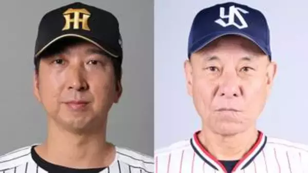 【阪神VSヤクルト】天候不良のため試合中止に　中止のアナウンスに場内ため息　阪神がM4で迎えたシーズン最終盤