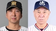 阪神対ヤクルトが2試合連続の雨天中止　阪神は6月だけで“6度目”