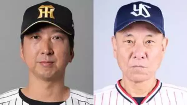 阪神対ヤクルトが2試合連続の雨天中止　阪神は6月だけで“6度目”