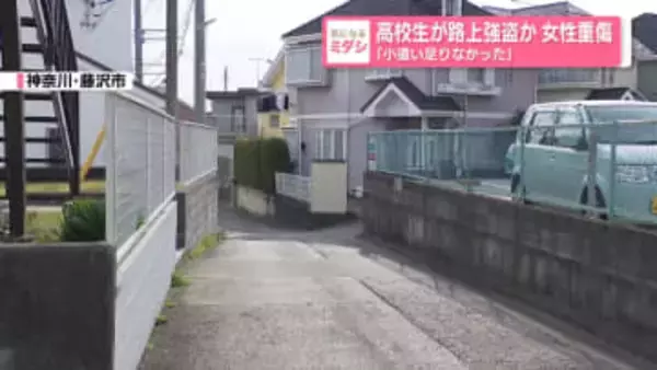 高校生2人が路上強盗か…女性重傷　「小遣い足りなかった」などと容疑認める　神奈川